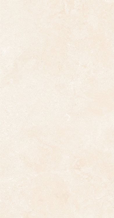 OL Marfil Matte 12 x 24